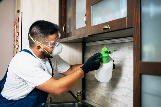 Best Wasp Removal Services  in Cardington, OH