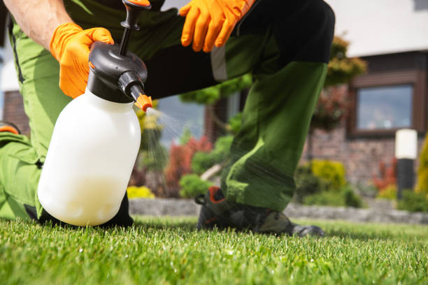 Best Flea Control Services  in Cardington, OH