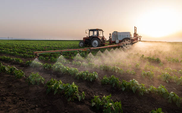 Best Ant Control Services  in Cardington, OH