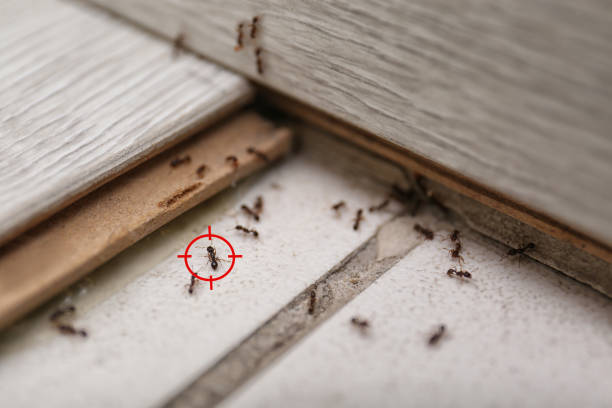 Best Best Pest Control Companies  in Cardington, OH
