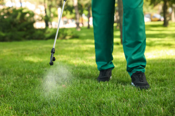 Best Bed Bug Extermination  in Cardington, OH