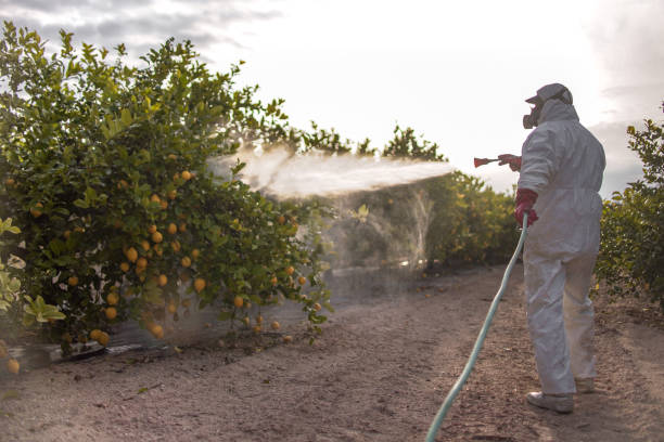 Professional Pest Control in Cardington, OH