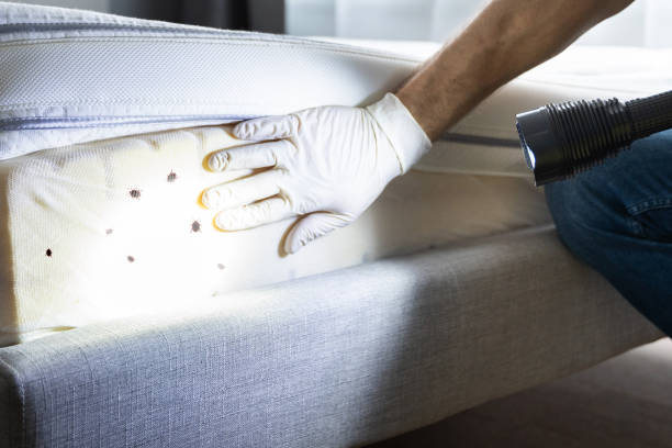 Best Wasp Removal Services  in Cardington, OH