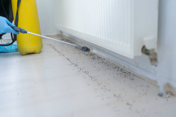 Best Local Pest Control Services  in Cardington, OH