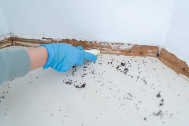 Best Insect Control  in Cardington, OH